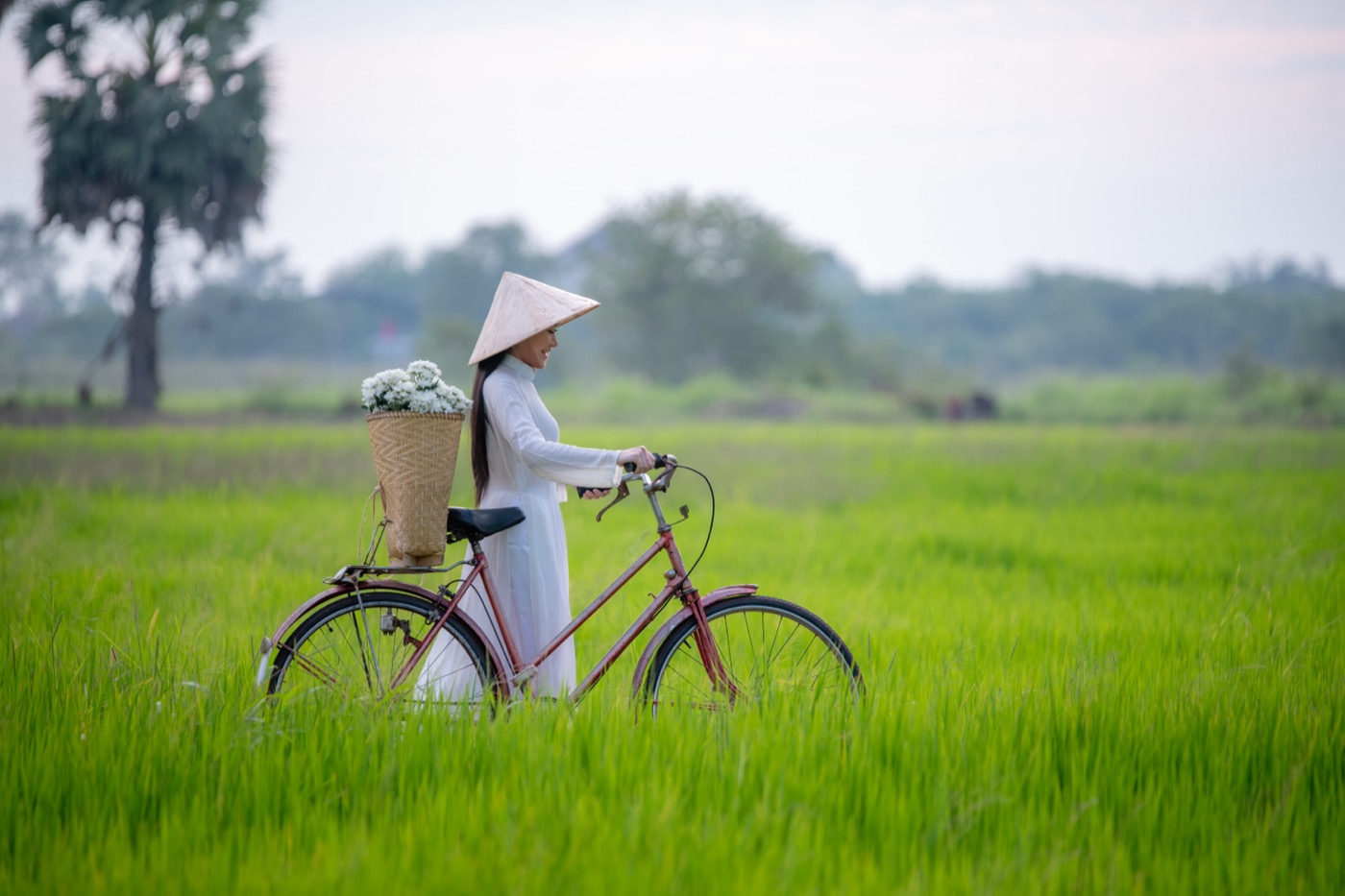 Vietnam Pre-Arrival Form for Japanese Citizens — Visa Rules & Step-by-Step Guide