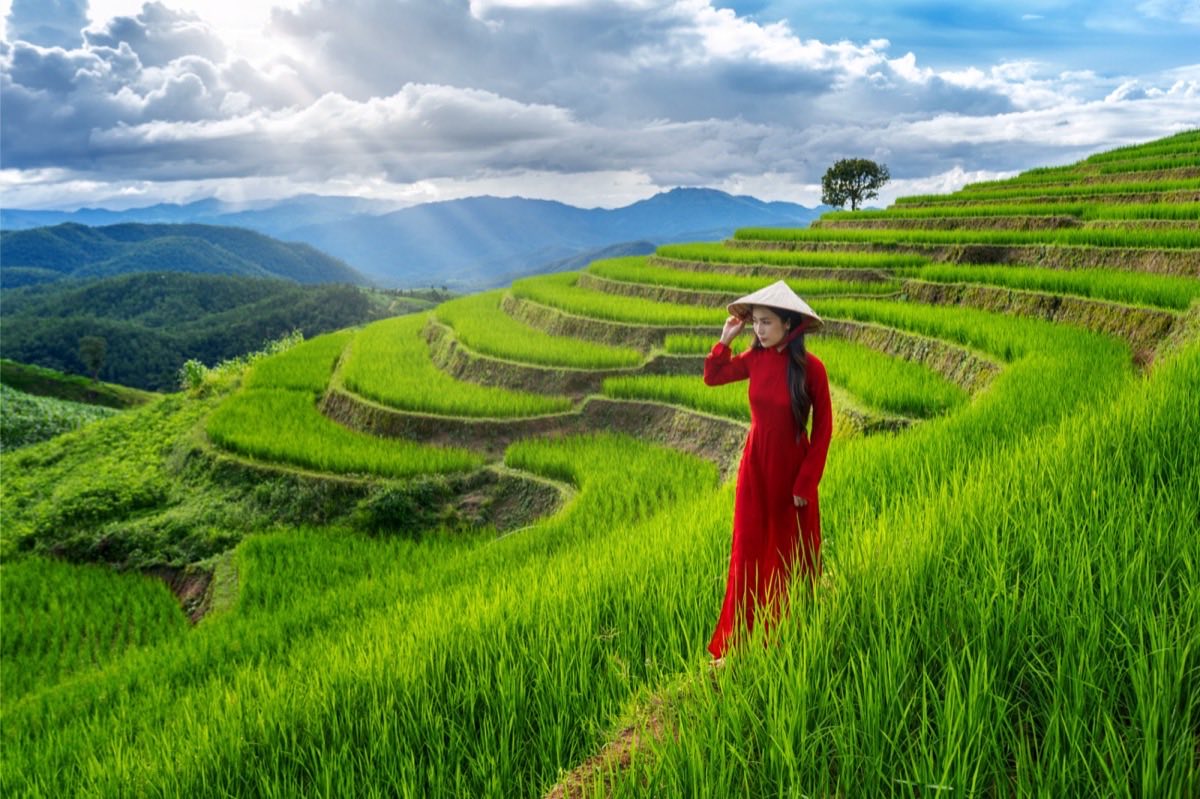 Vietnam Pre-Arrival form on a digital device